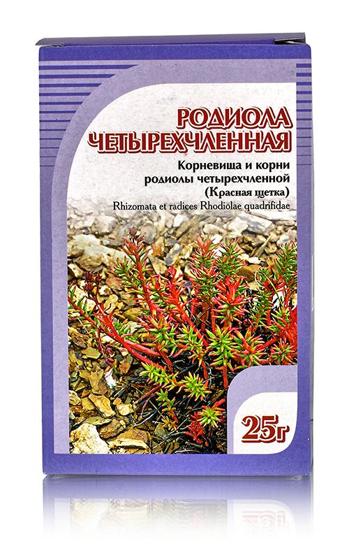Родиола четырехчленная (красная щетка), корневища и корни 25гр. Хорст