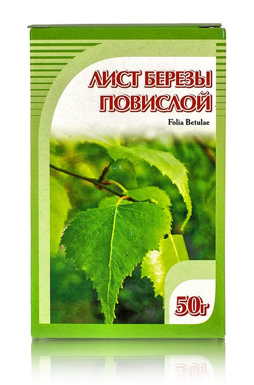 Береза повислая, листья 50гр. Хорст