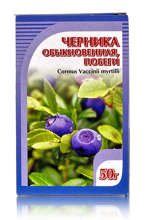 Черника обыкновенная, побеги 50гр. Хорст