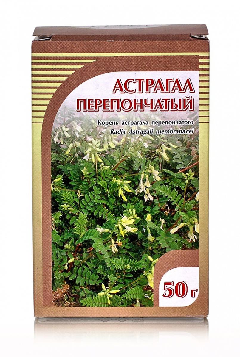 Астрагал перепончатый, корень 50гр  Хорст