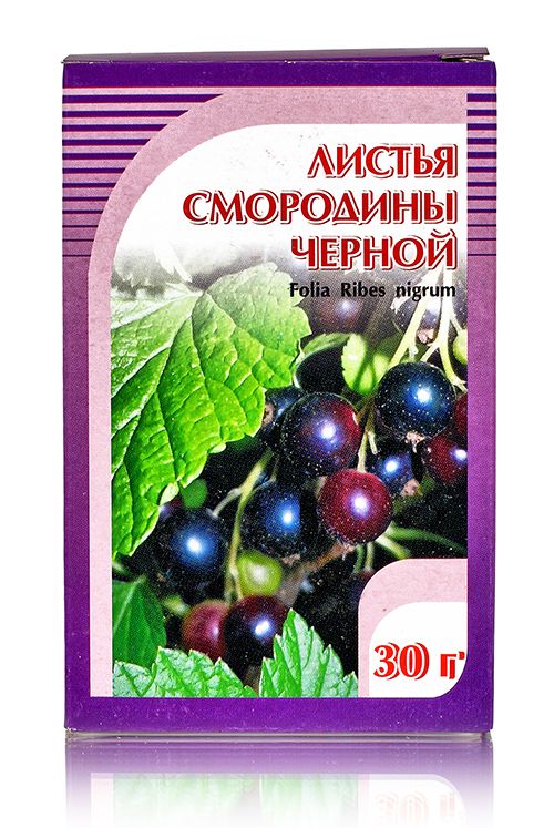 Смородина черная, листья 30гр. Хорст