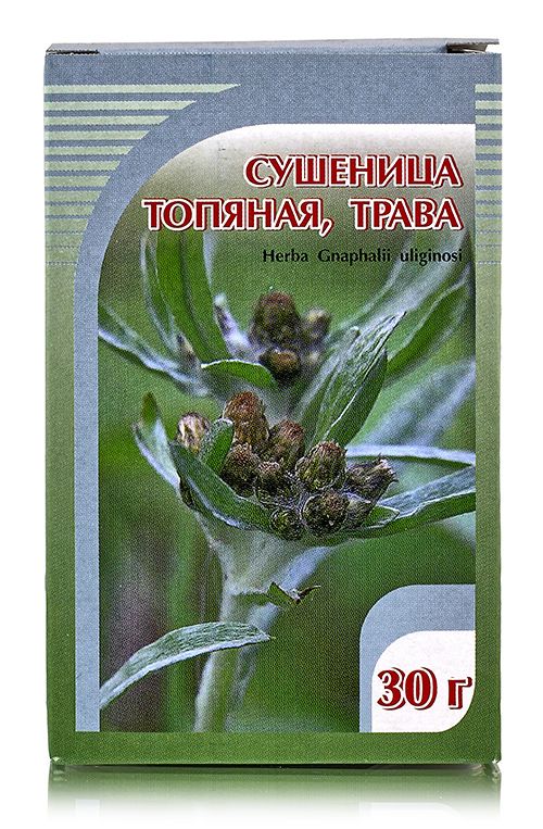 Сушеница (Цминница), трава 30гр. Хорст
