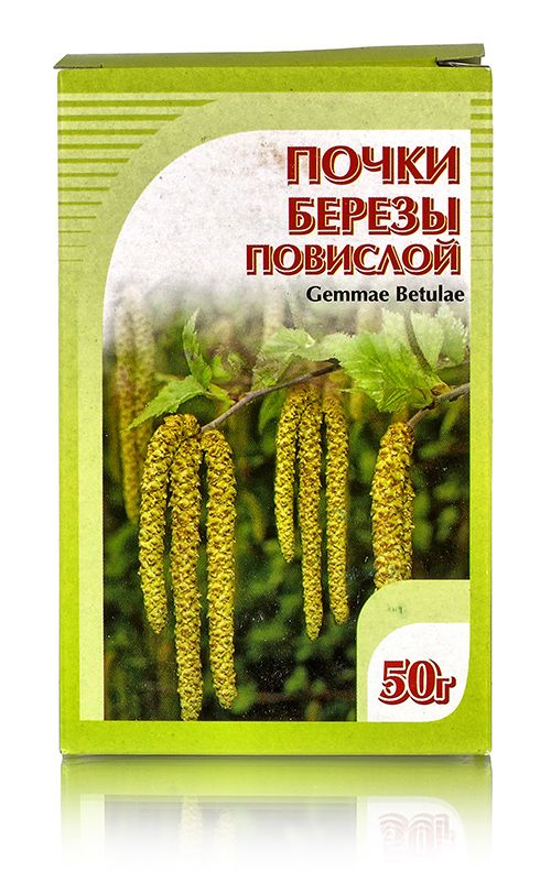 Береза повислая, почки 50гр. Хорст