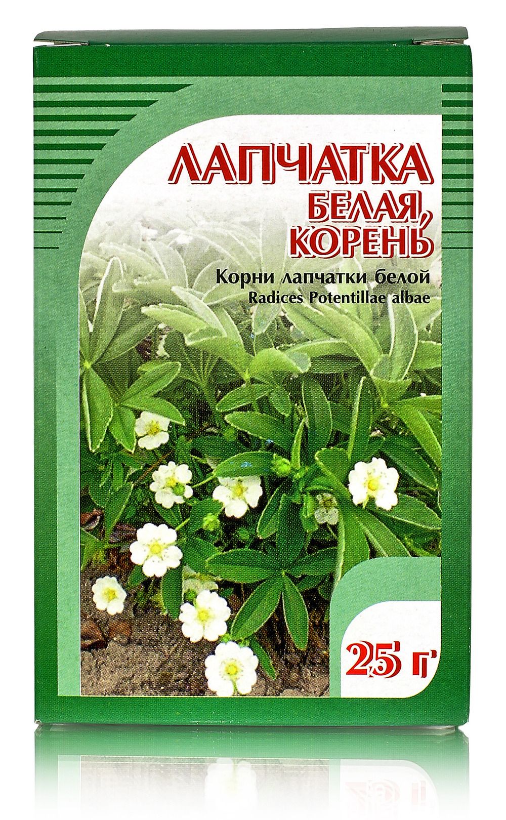 Лапчатка белая, корень 25гр. Хорст