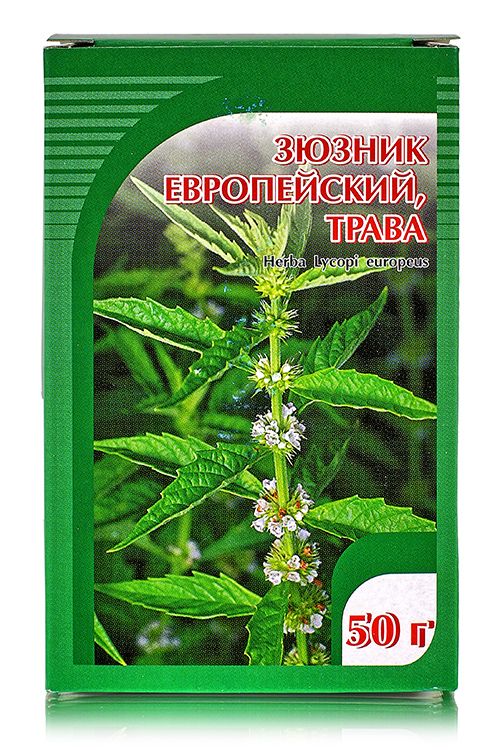 Зюзник европейский, трава 30гр. Хорст